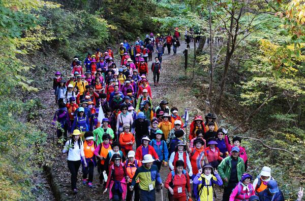 하동군, ‘지리산 회남재 숲길걷기’ 가을여행주간 정부 우수 프로그램 선정