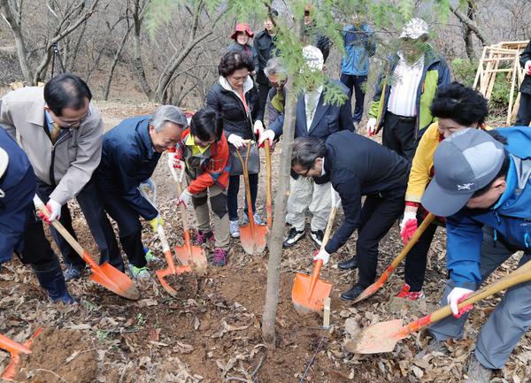 하동군, 제71회 식목일 기념 나무심기 일환 옥종 편백림에 340여명 참여