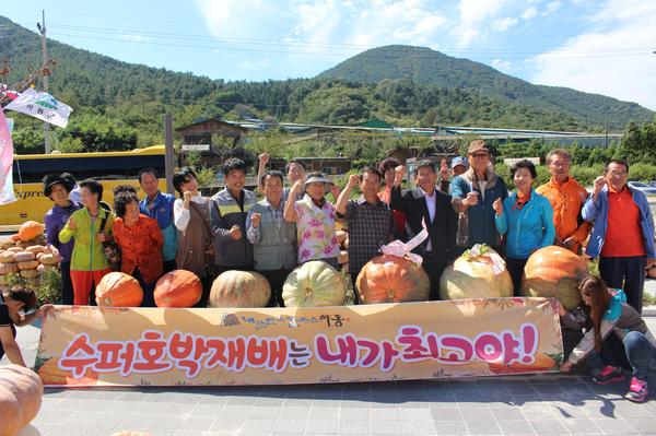 하동군, 올 가을 북천코스모스·메밀꽃축제 기간 도민 대상 첫 경진대회 개최