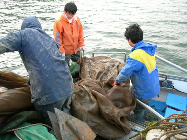 3. 봄철 내수면 불법어업 집중 단속(어업생산)