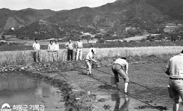 1978.가뭄대책 예비모판 설치 및 낙종(금남)