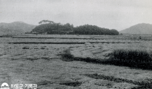 하동읍 육지의 섬 비파섬. 본래 섬이었으나 1926년 비파제방 축조 후 수해가 없어지면서 농경지로 개간되었다. 하동군에서 가장 넓은 평야인 너뱅이들과 이어져 지금도 벼농사가 이루어진다.